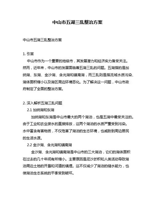 中山市五湖三乱整治方案