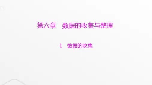 北师大版七年级数学上册第六章数据的收集与整理数据的收集课件