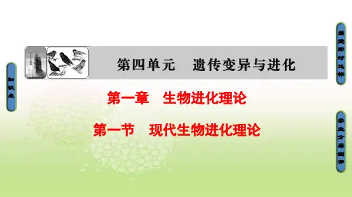 2018-2019学年(中图版)高中生物必修二课件：第4单元 第1章 第1节 现代生物进化理论