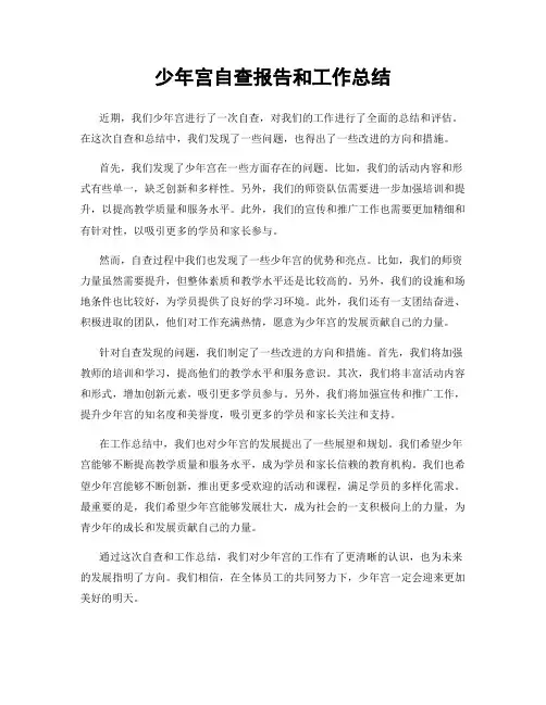 少年宫自查报告和工作总结