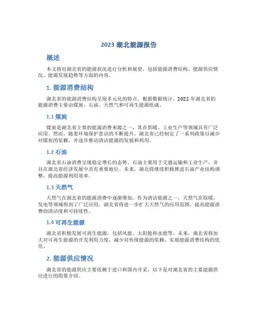 2023湖北能源报告