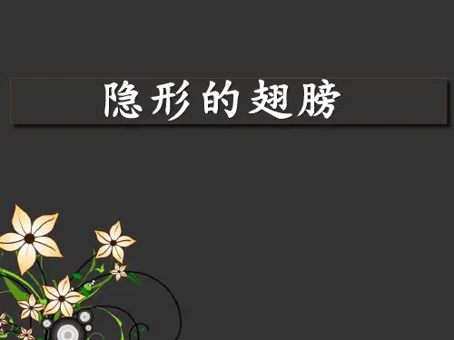 《隐形的翅膀》PPT课件-(共18张PPT)