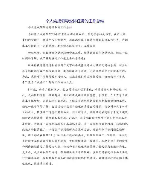 个人完成领导安排任务的工作总结