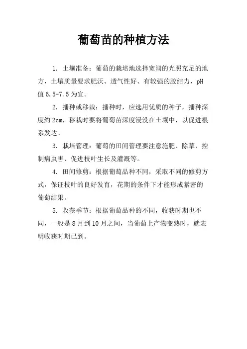 葡萄苗的种植方法