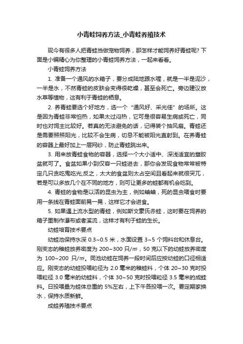 小青蛙饲养方法_小青蛙养殖技术