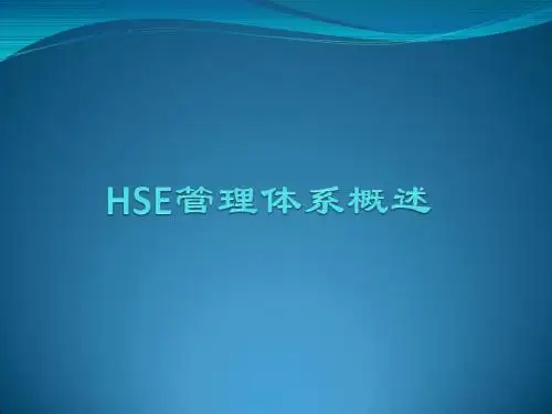 HSE体系