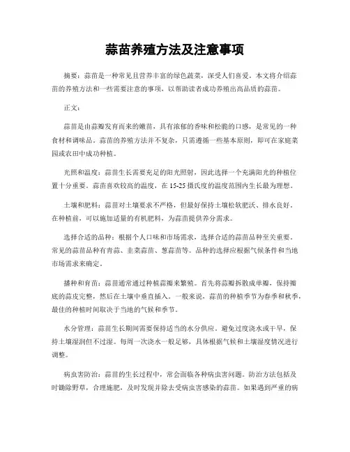 蒜苗养殖方法及注意事项
