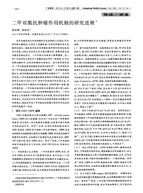 二甲双胍抗肿瘤作用机制的研究进展