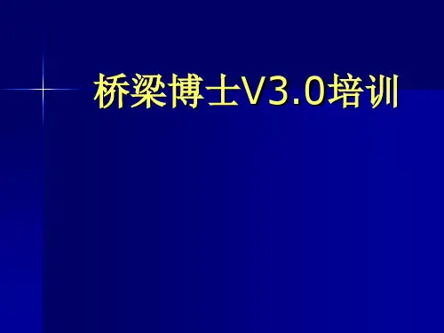 桥梁博士V3.0培训(演示文稿) 
