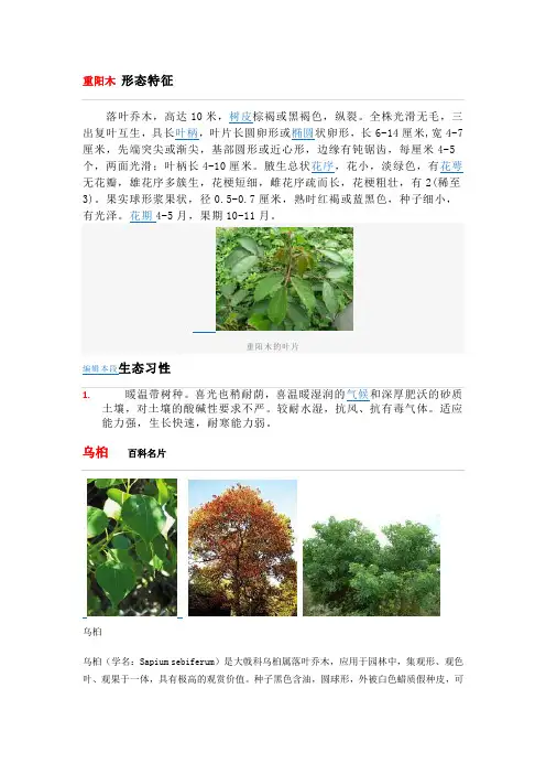 落叶乔木