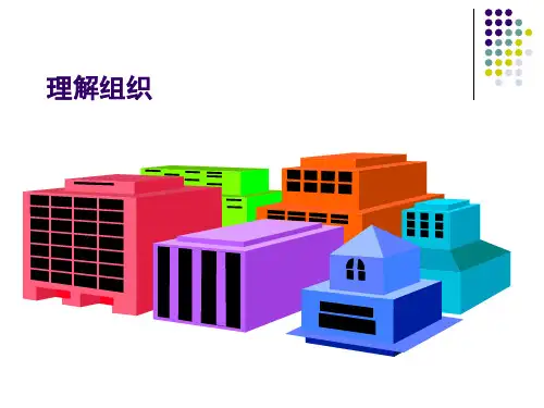 项目实施组织与项目经理(1).ppt