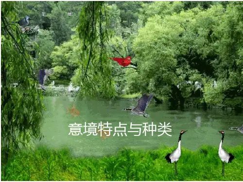 高考语文复习诗歌鉴赏专题 意境特点与种类