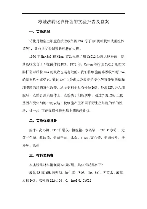 冻融法转化农杆菌的实验报告及答案