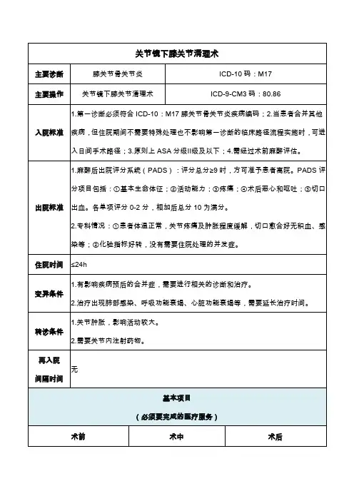 关节镜下膝关节清理术(2020年日间手术病种手术操作规范)