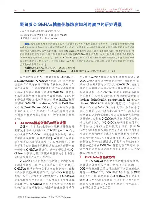 蛋白质O-GlcNAc糖基化修饰在妇科肿瘤中的研究进展