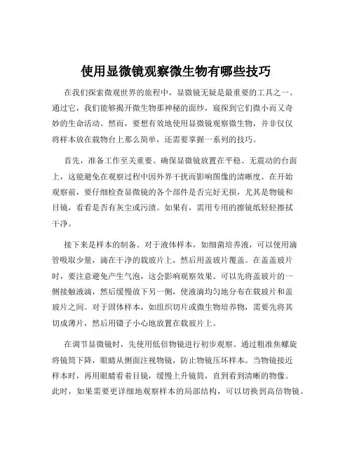 使用显微镜观察微生物有哪些技巧