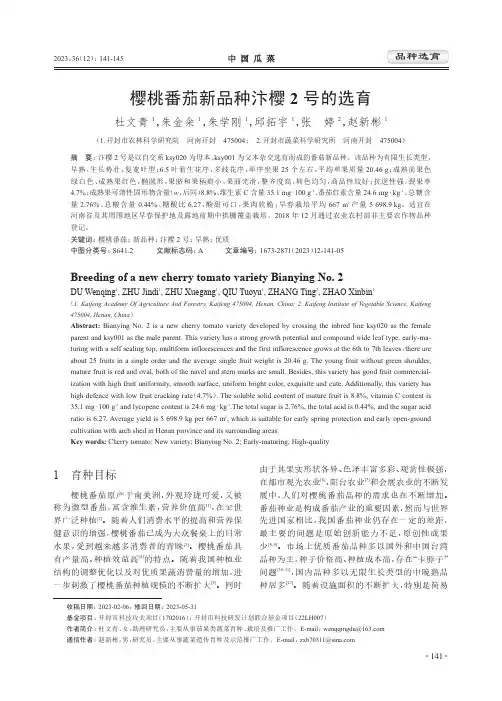 樱桃番茄新品种汴樱2_号的选育