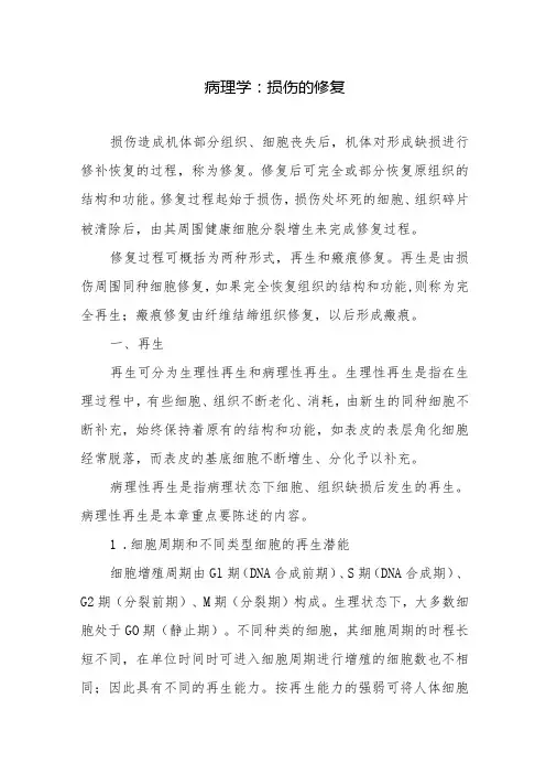 病理学：损伤的修复