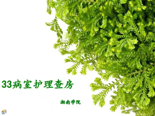 腹部外伤护理查房PPT课件