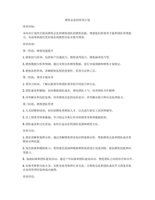 销售总监的培训计划