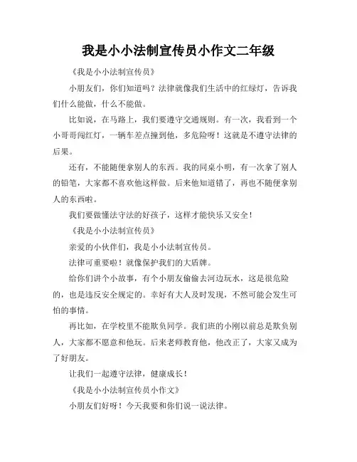 我是小小法制宣传员小作文二年级
