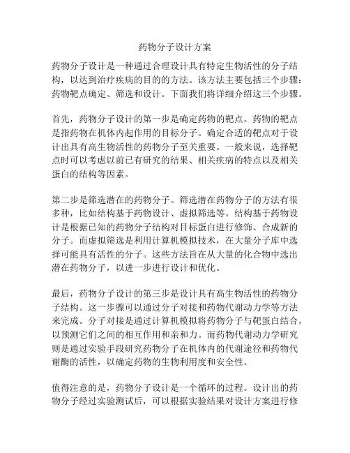 药物分子设计方案