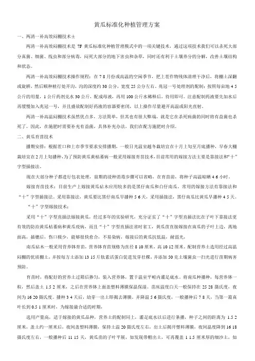 黄瓜种植标准化