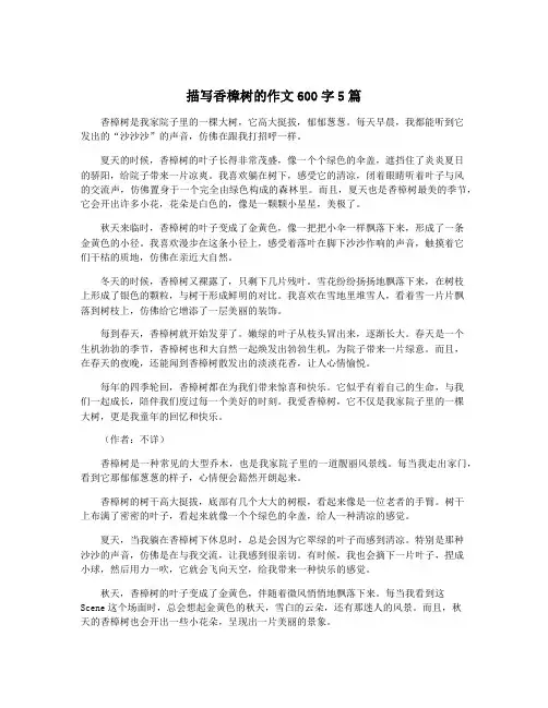 描写香樟树的作文600字5篇