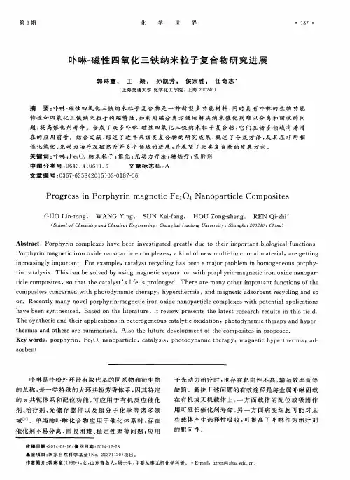 卟啉-磁性四氧化三铁纳米粒子复合物研究进展