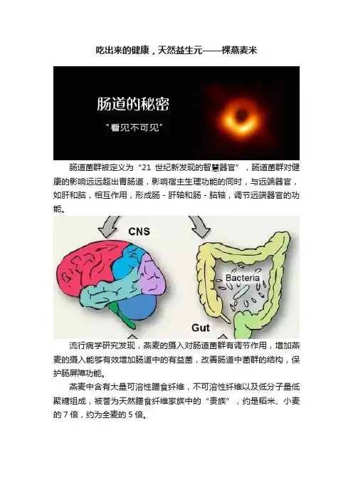 吃出来的健康，天然益生元——裸燕麦米