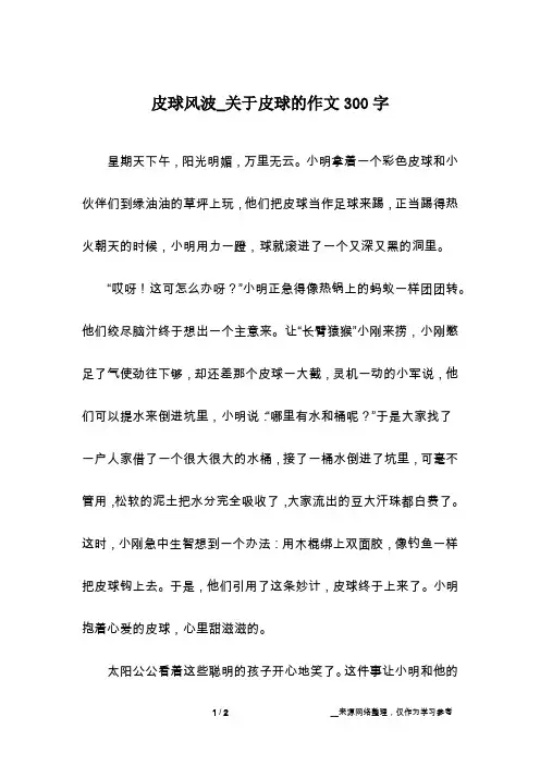 皮球风波_关于皮球的作文300字