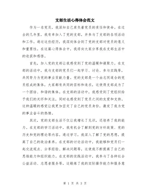 支部生活心得体会范文