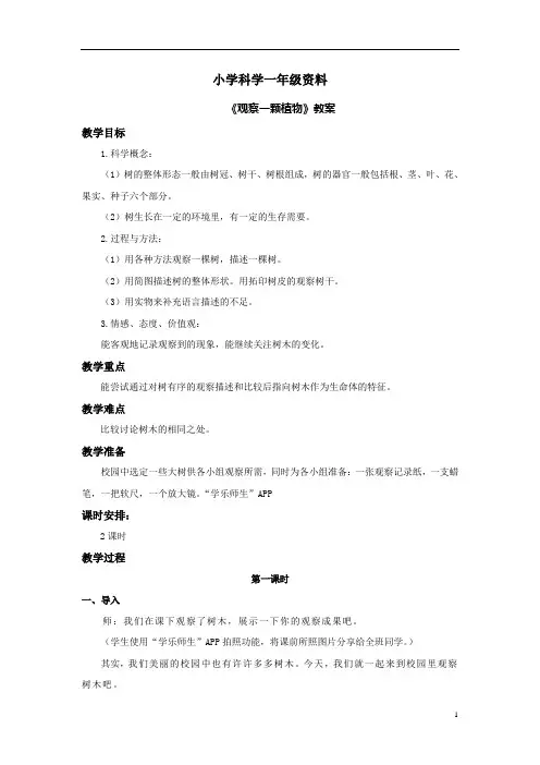 小学科学一年级：《观察一颗植物》教案1