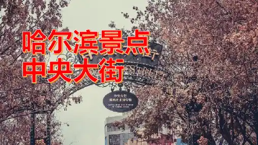 哈尔滨中央大街,一座充满艺术气息的城市街道