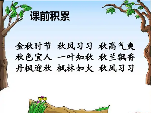 抓文章的中心句过渡句