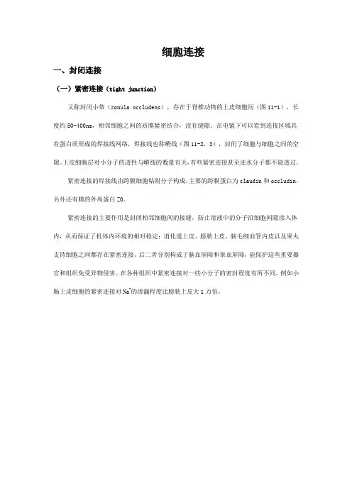 细胞连接