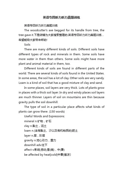 英语专四听力听力真题训练