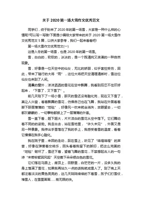 关于2020第一场大雪作文优秀范文