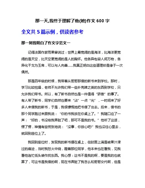 那一天,我终于理解了他(她)作文600字