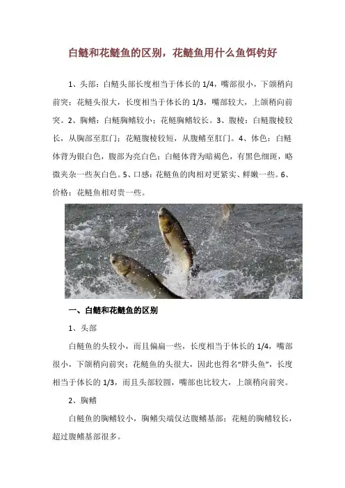 白鲢和花鲢鱼的区别,花鲢鱼用什么鱼饵钓好