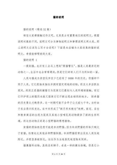 猫的说明范文精选
