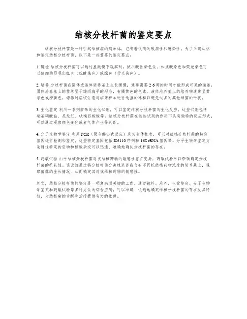 结核分枝杆菌的鉴定要点
