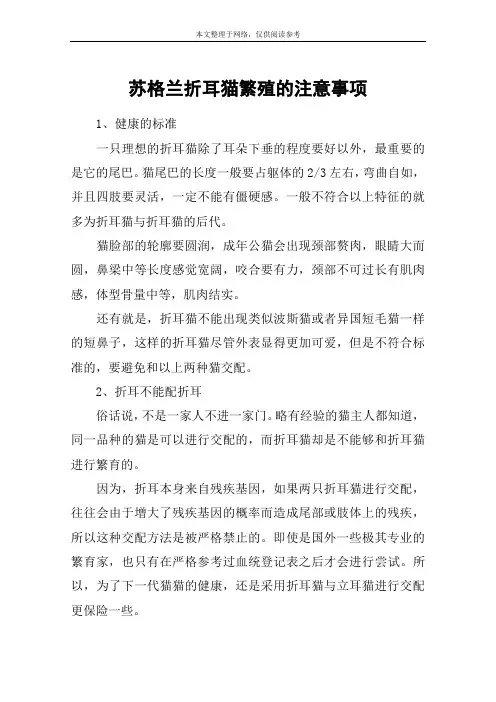 苏格兰折耳猫繁殖的注意事项