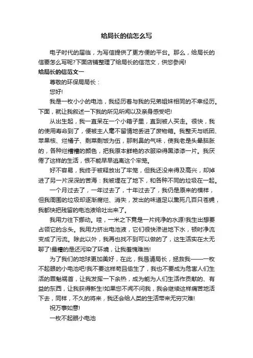 给局长的信怎么写