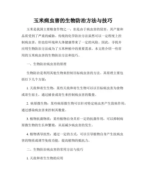 玉米病虫害的生物防治方法与技巧