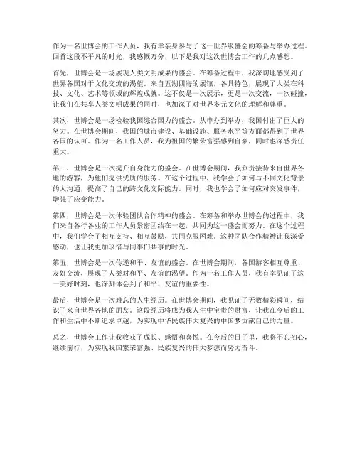 世博会工作感想