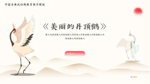 丹顶鹤主题中国风教育教学模板