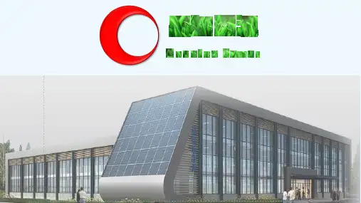 低速车市场分析报告 PPT