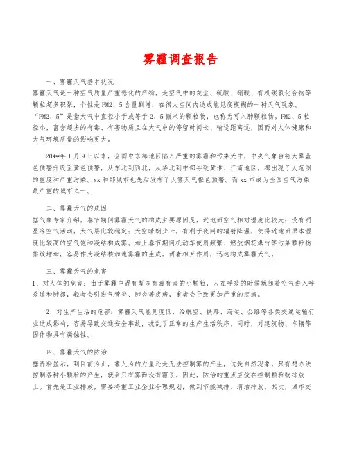 雾霾调查报告
