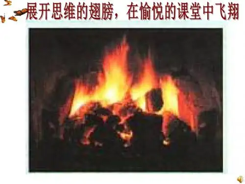 二氧化碳和一氧化碳(1)的课件
